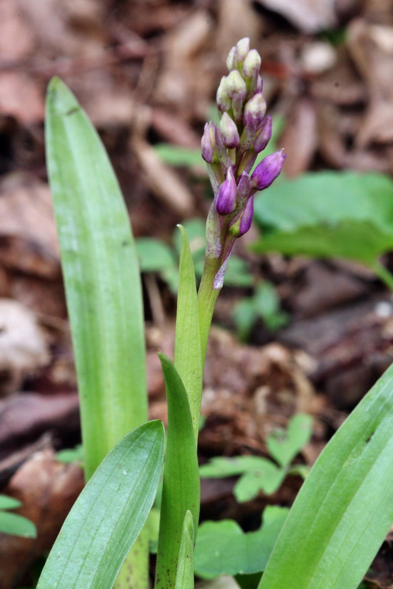 2013_05_04_00010746_Bildgr��e �ndern