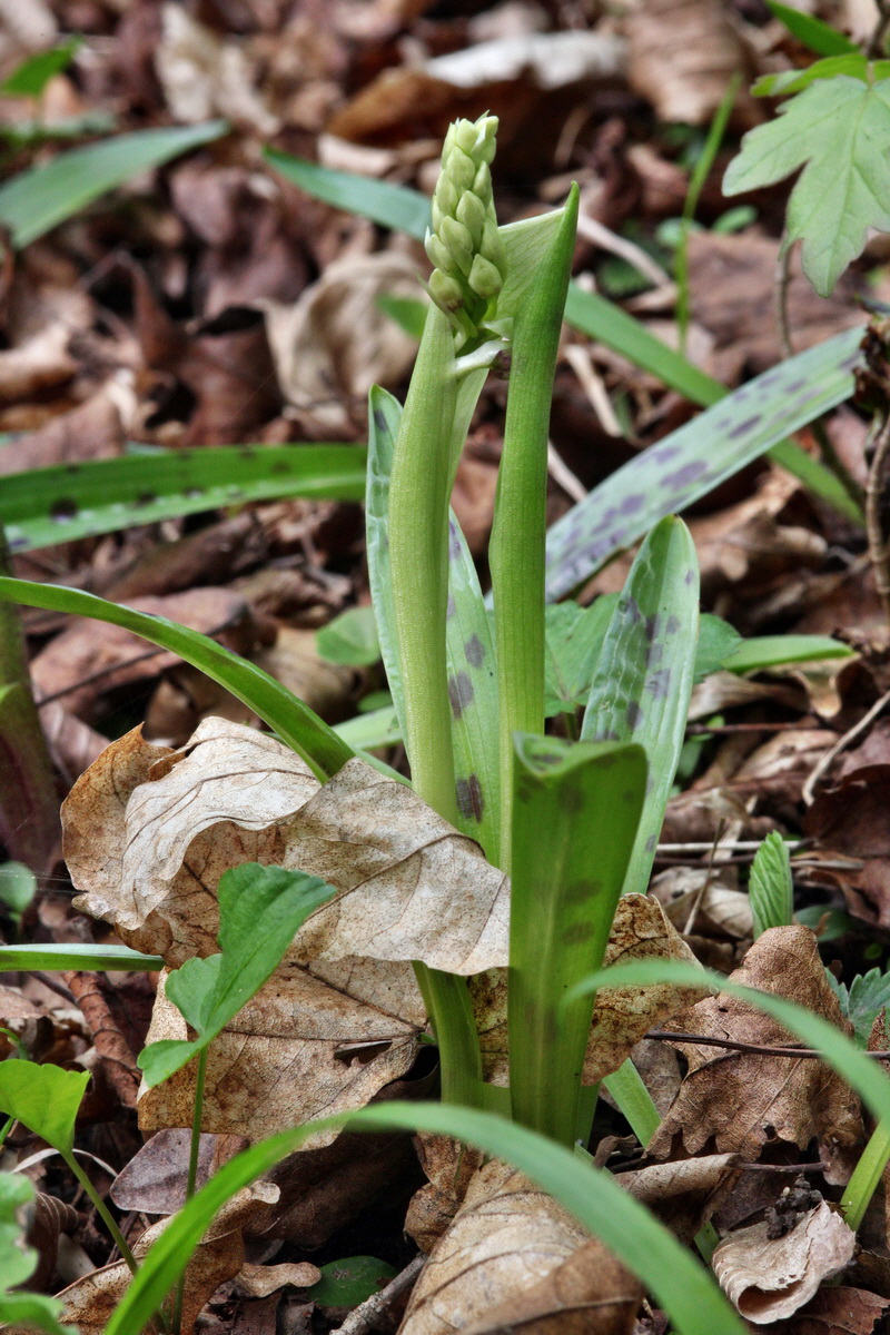 2013_05_04_00010754_Bildgr��e �ndern