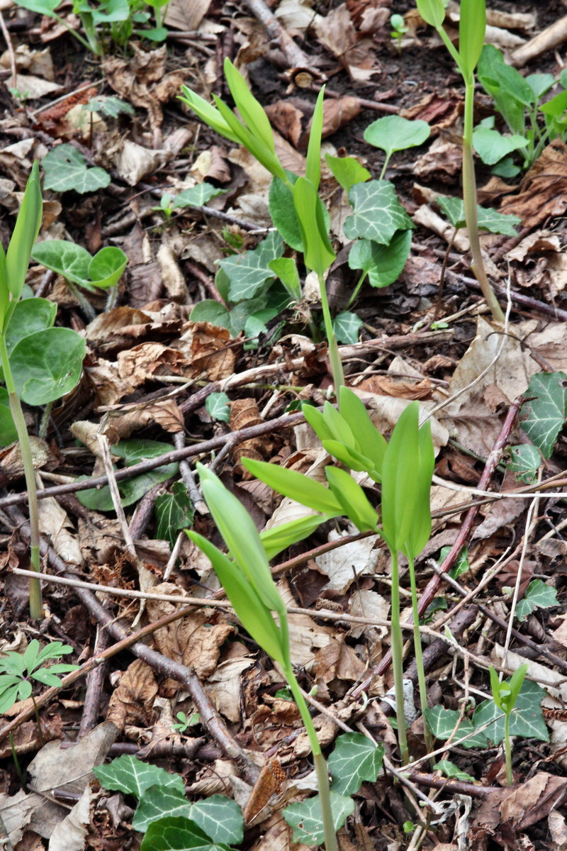 2013_05_04_00010769_Bildgr��e �ndern