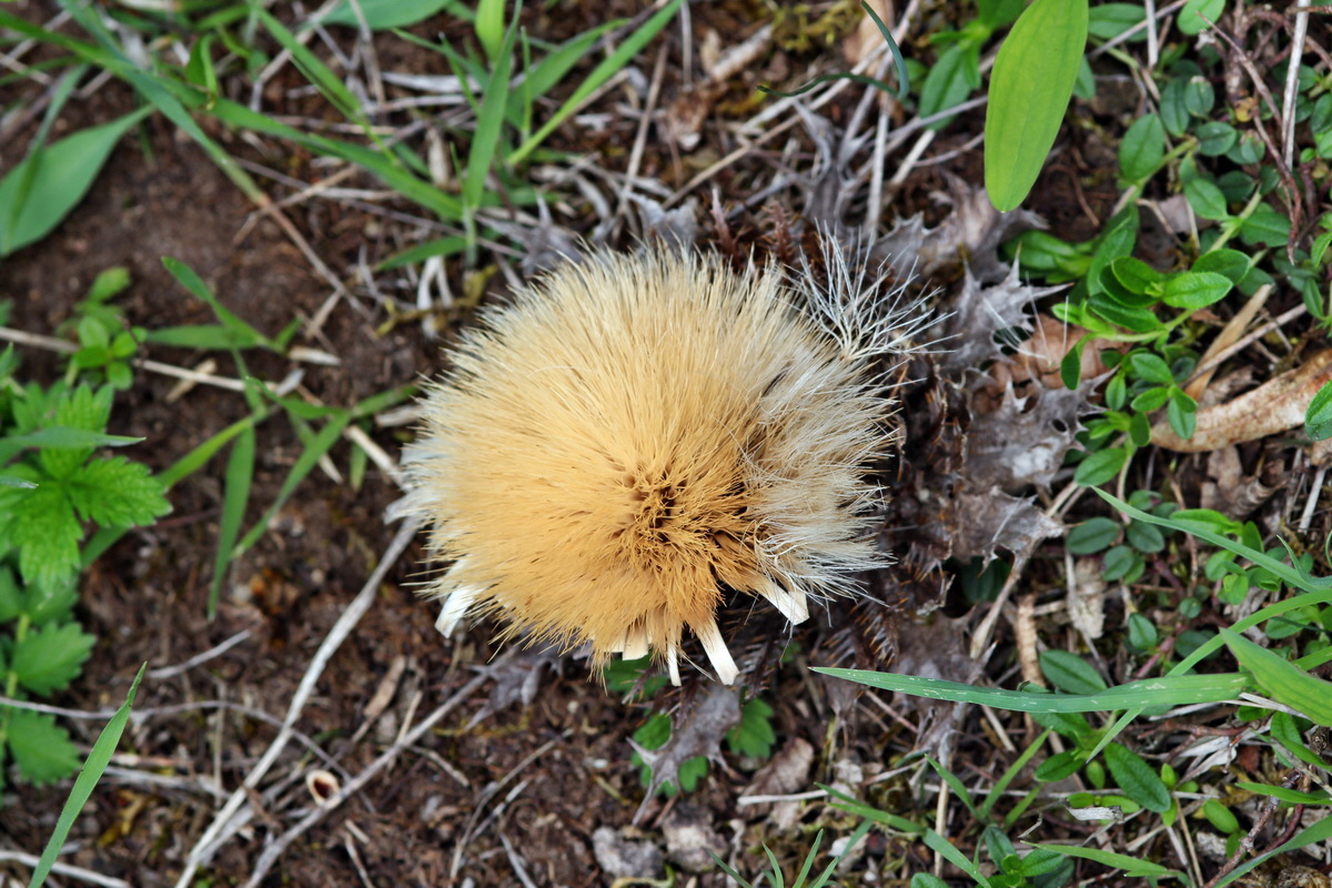 2013_05_04_00010771_Bildgr��e �ndern