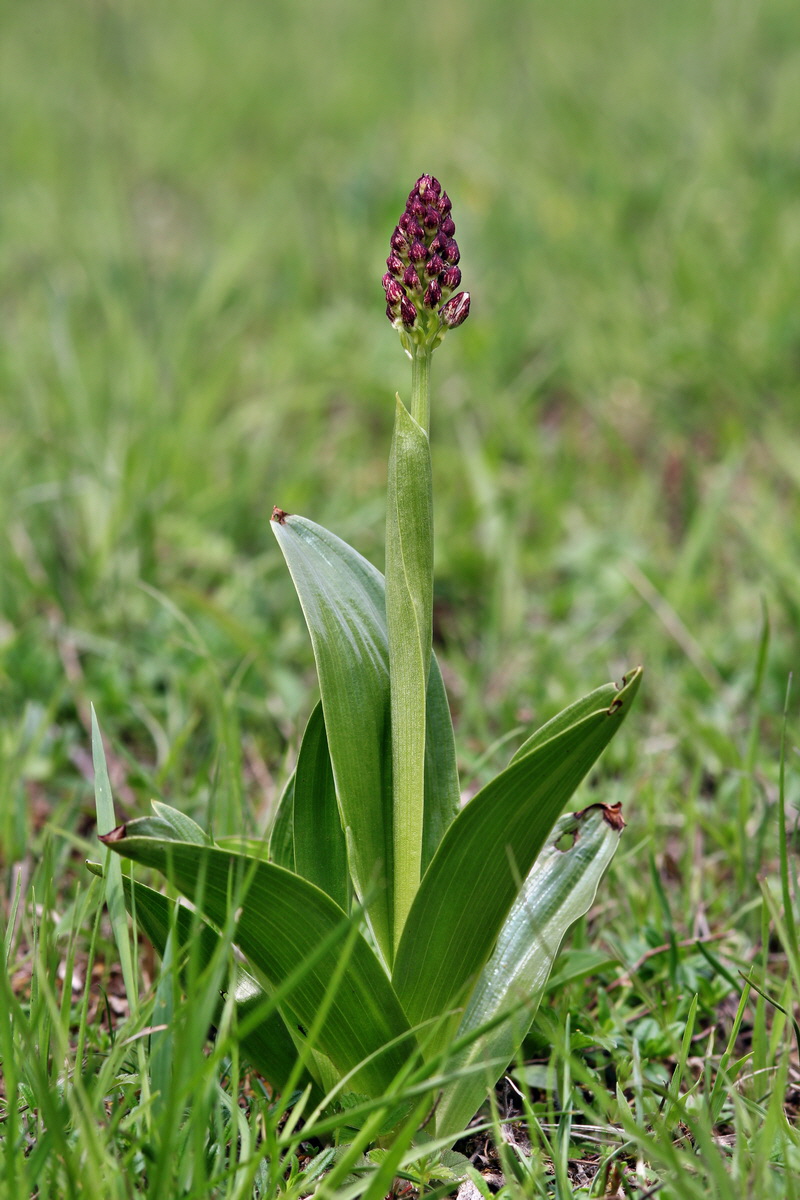 2013_05_04_00010774_Bildgr��e �ndern