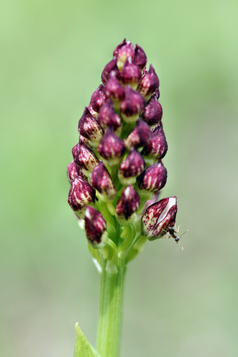 2013_05_04_00010781_Bildgr��e �ndern