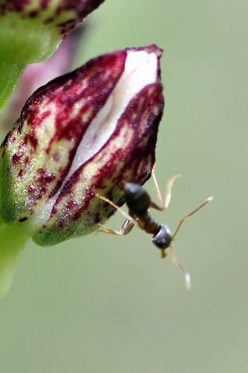 2013_05_04_00010781a