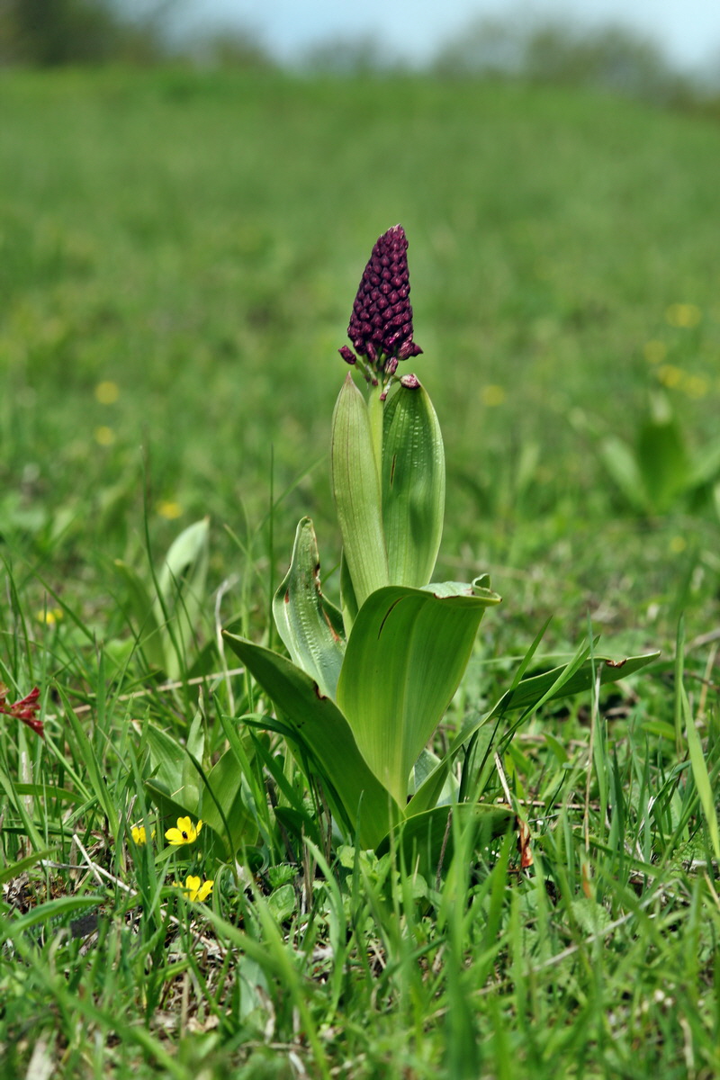 2013_05_04_00010786_Bildgr��e �ndern