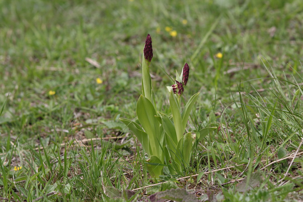 2013_05_04_00010795_Bildgr��e �ndern