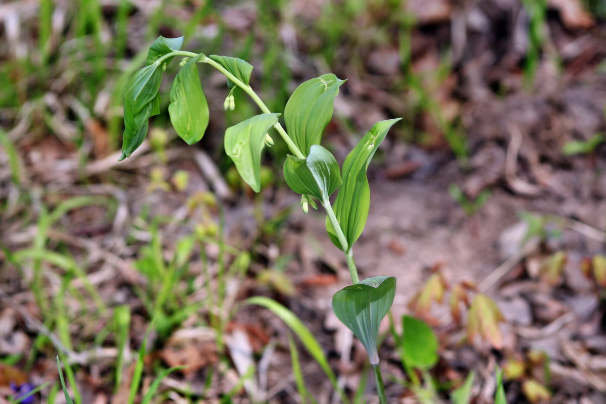 2013_05_04_00010887_Bildgr��e �ndern