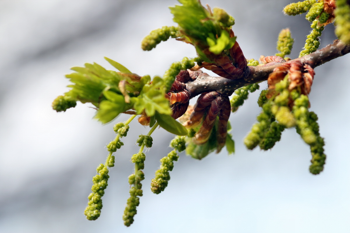 2013_05_04_00010910_Bildgr��e �ndern