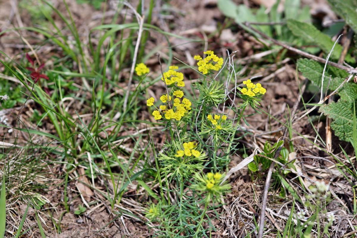 2013_05_04_00010942_Bildgr��e �ndern