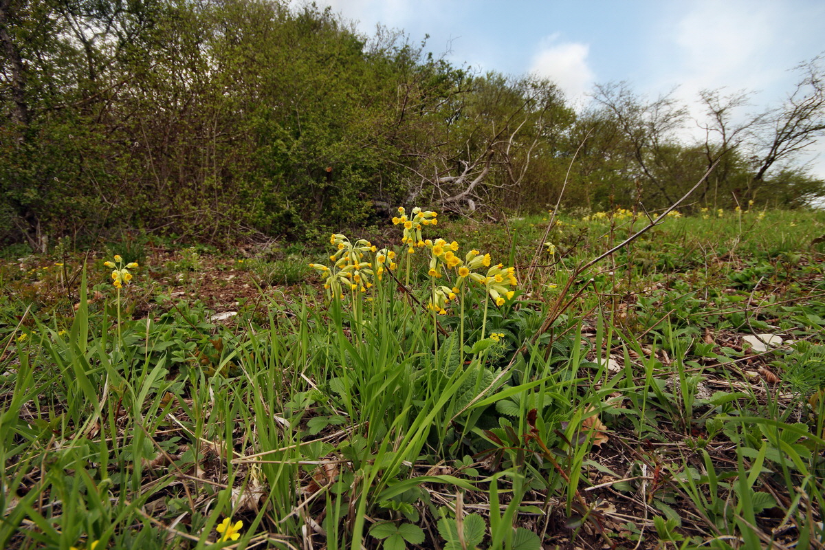 2013_05_04_00011050_Bildgr��e �ndern