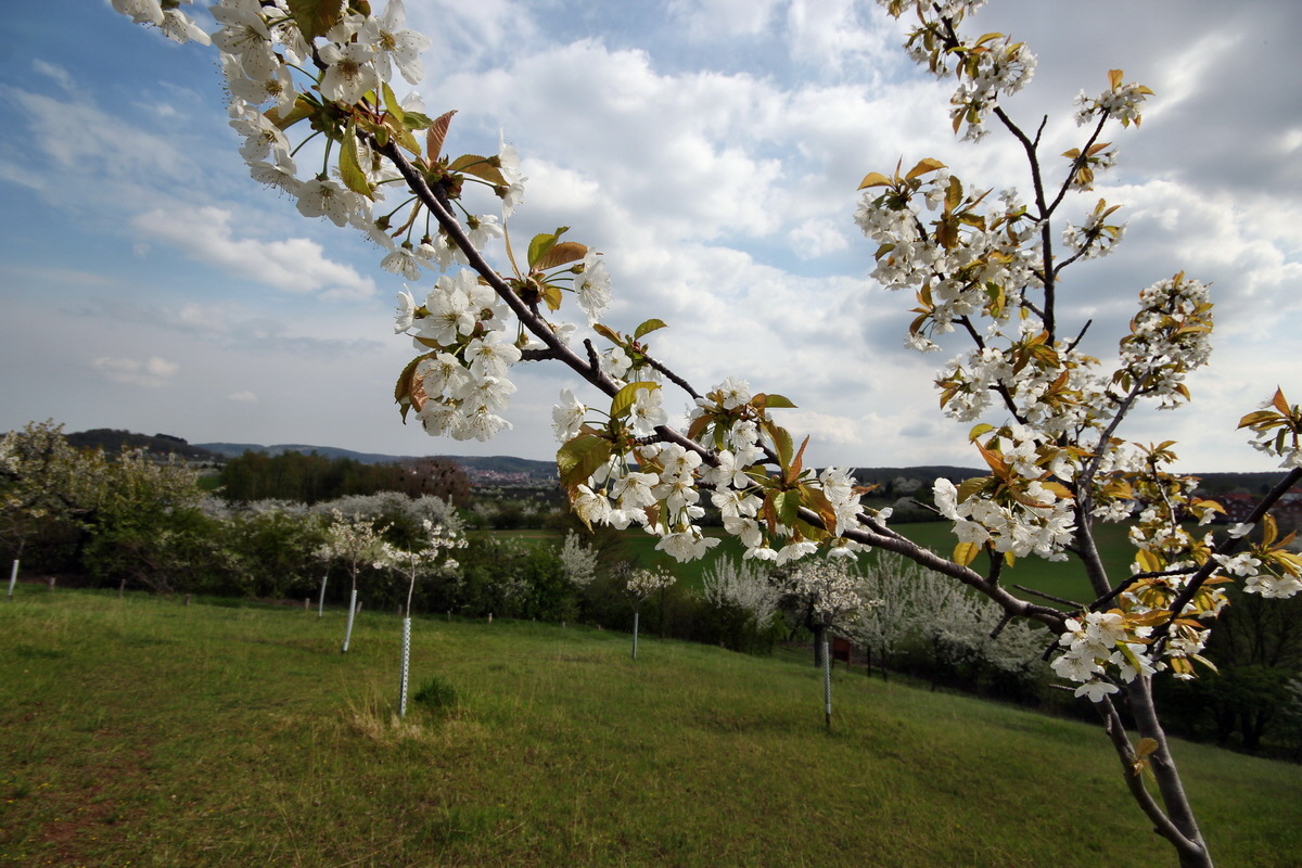 2013_05_04_00011063_Bildgr��e �ndern