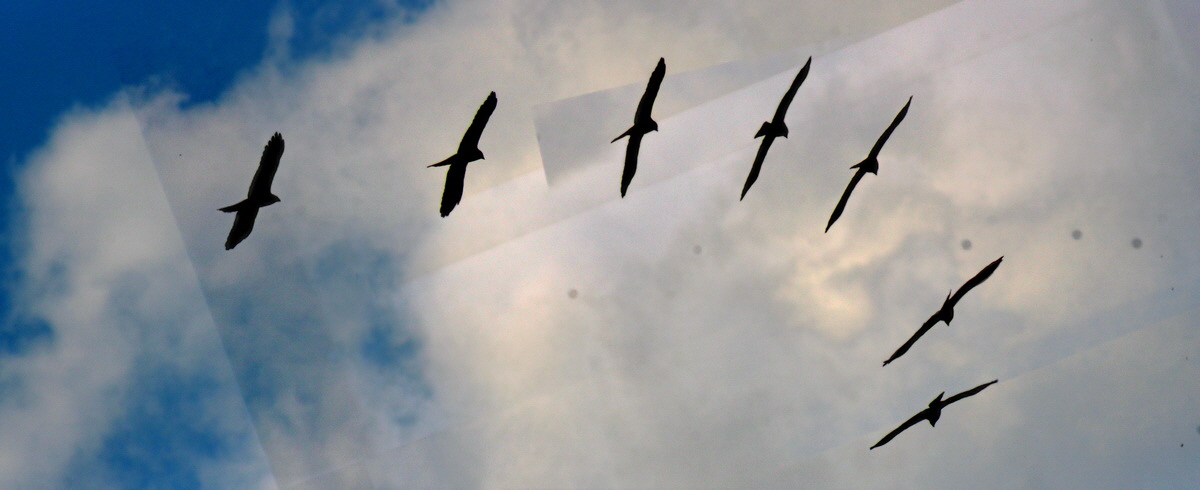 [Group 8]-2013_05_05_00011258_2013_05_05_00011265-8 images_Bildgr��e �ndern