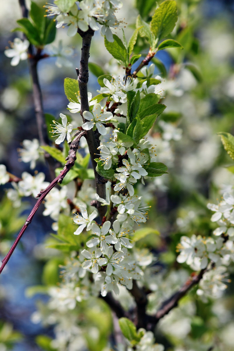 2013_05_05_00011101_Bildgr��e �ndern