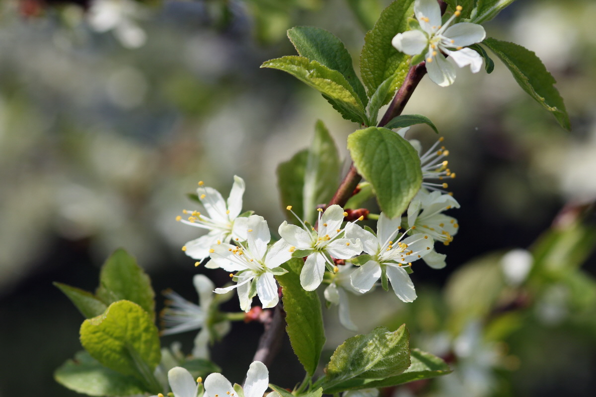 2013_05_05_00011103_Bildgr��e �ndern