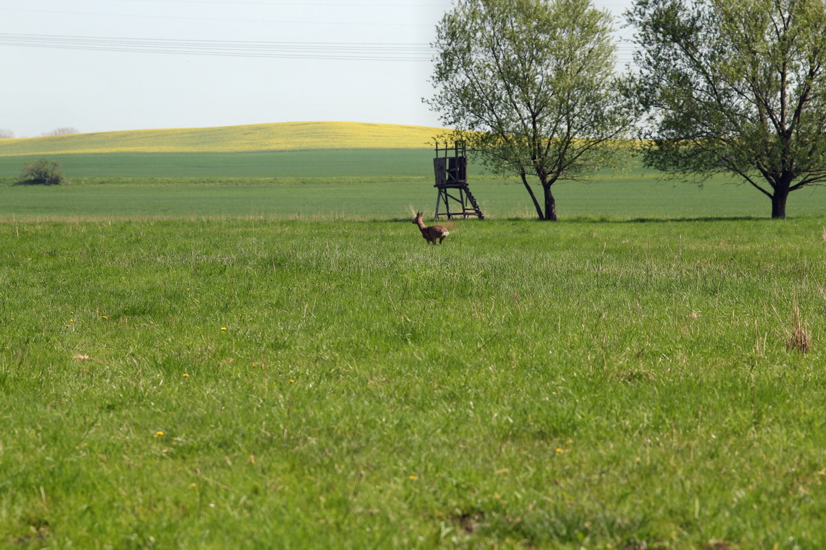 2013_05_05_00011114_Bildgr��e �ndern