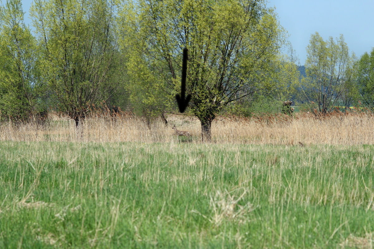 2013_05_05_00011127_Bildgr��e �ndern