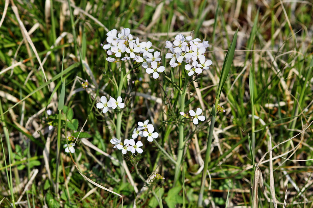 2013_05_05_00011137_Bildgr��e �ndern