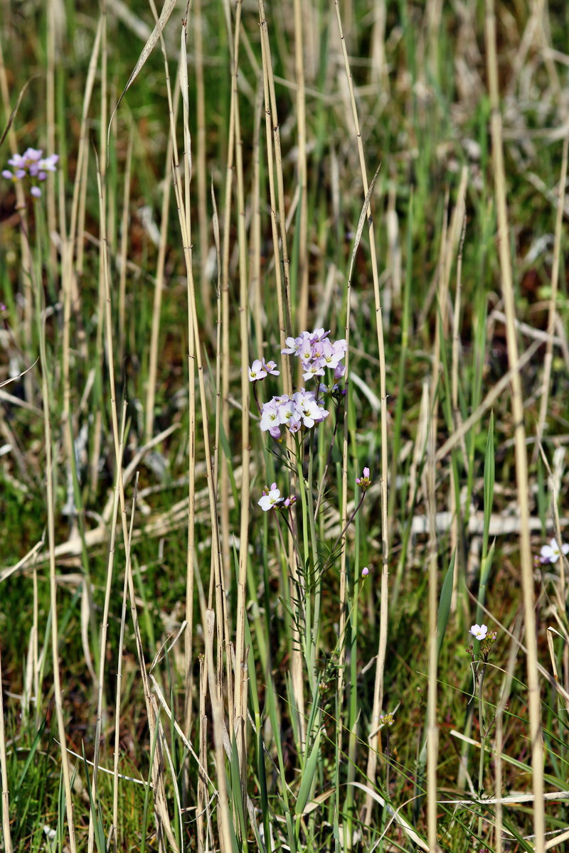 2013_05_05_00011142_Bildgr��e �ndern