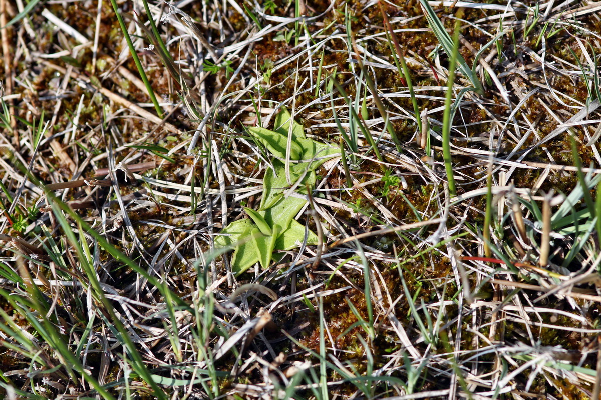 2013_05_05_00011147_Bildgr��e �ndern