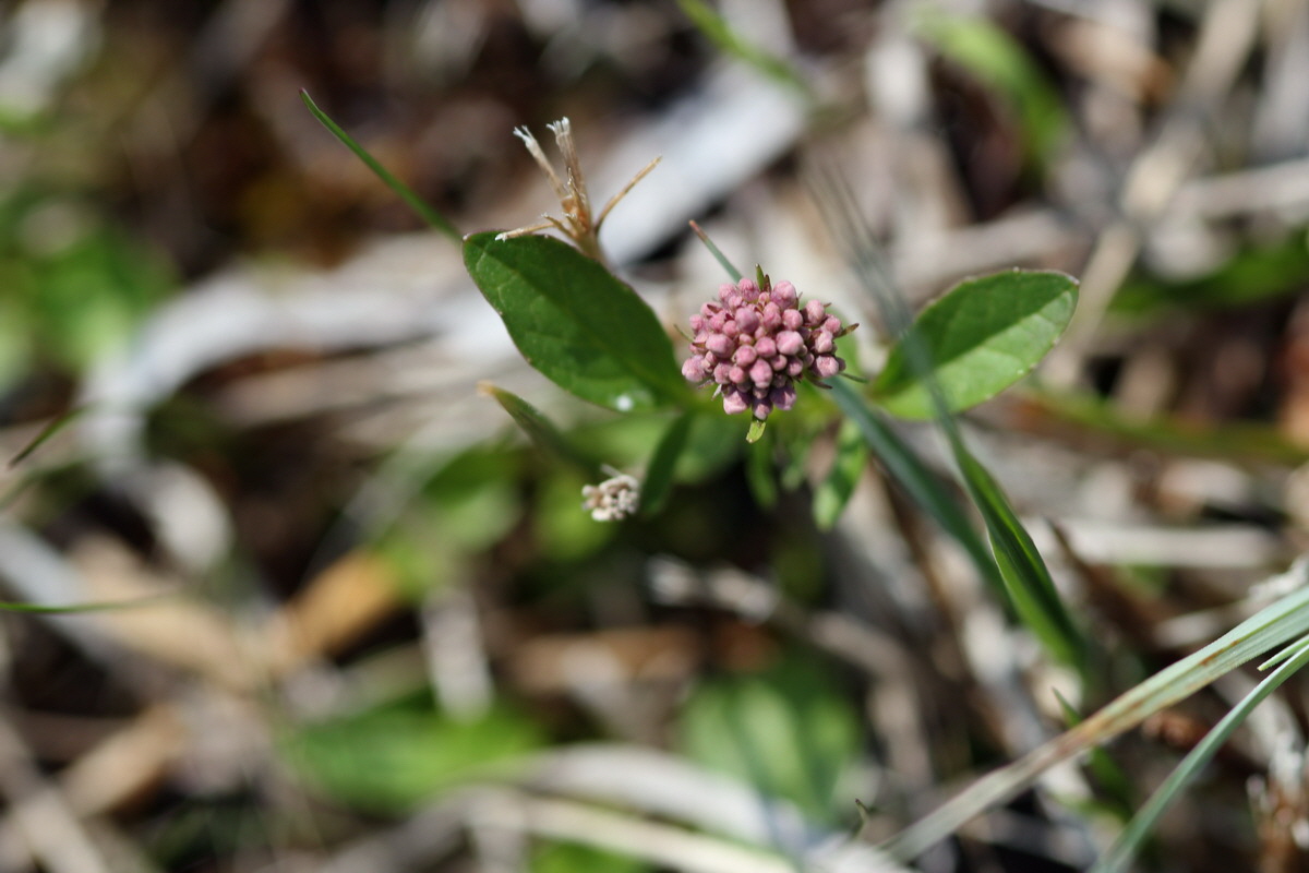 2013_05_05_00011155_Bildgr��e �ndern