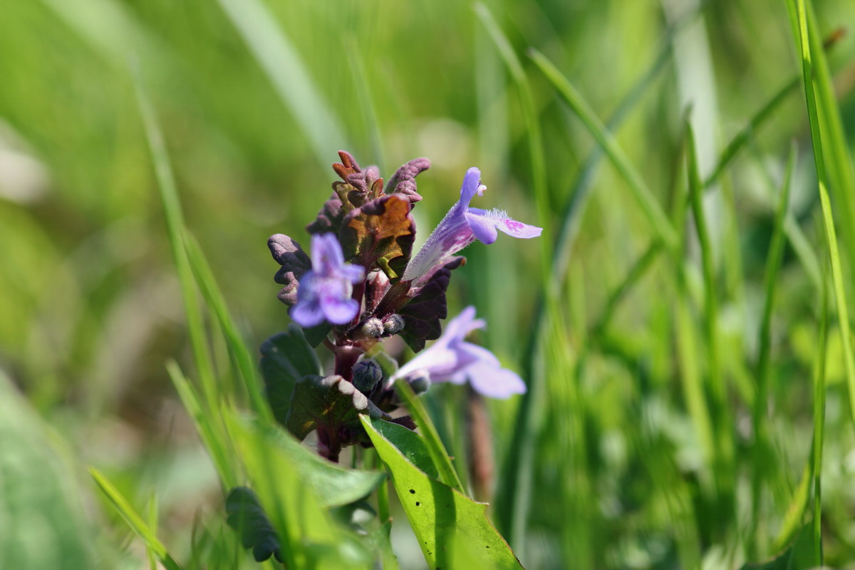 2013_05_05_00011159_Bildgr��e �ndern