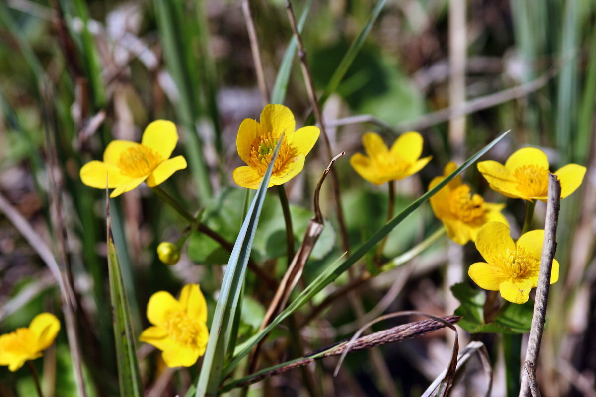 2013_05_05_00011178_Bildgr��e �ndern