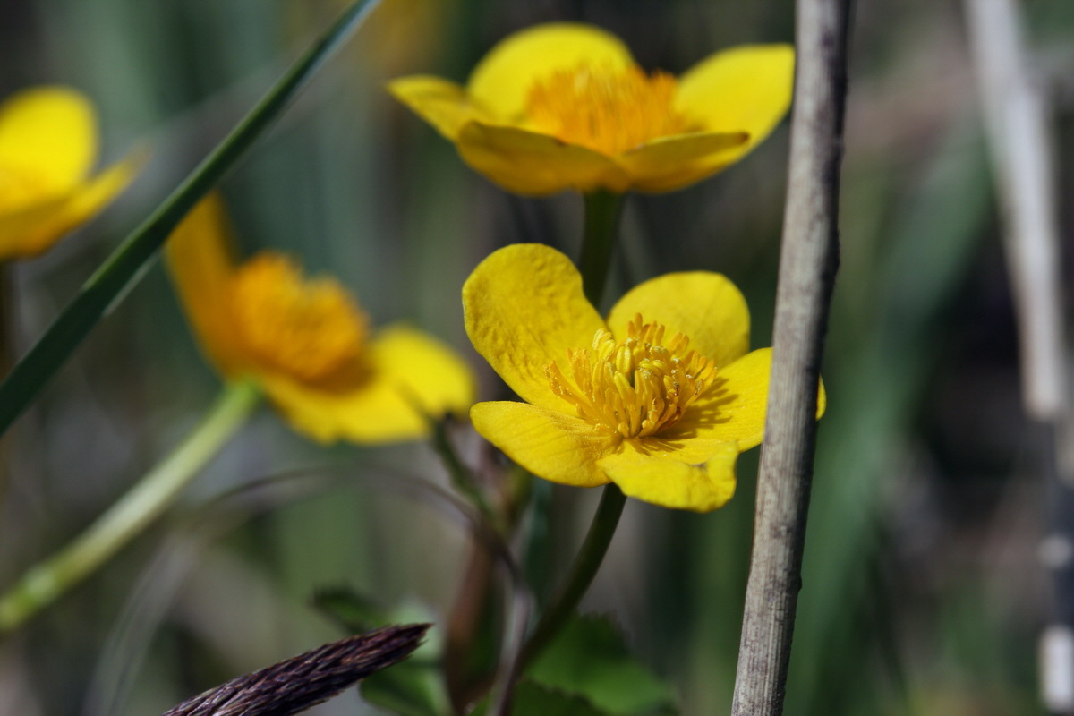 2013_05_05_00011186_Bildgr��e �ndern