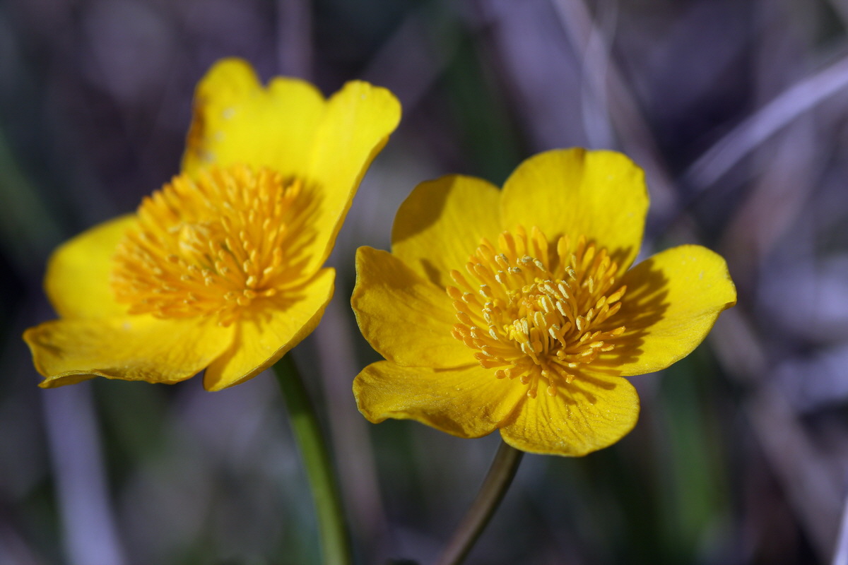 2013_05_05_00011194_Bildgr��e �ndern