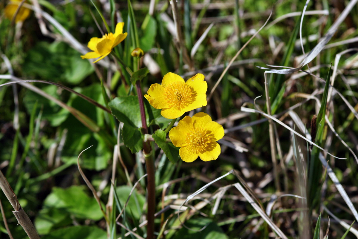 2013_05_05_00011202_Bildgr��e �ndern