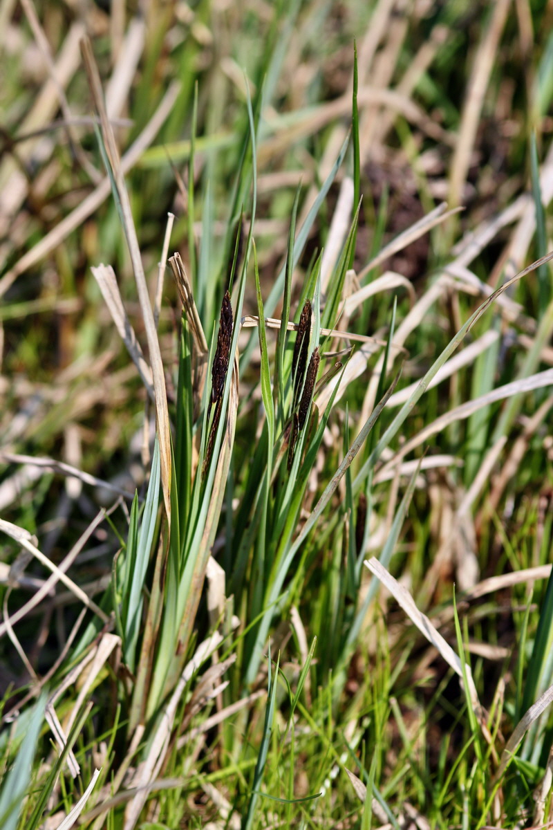 2013_05_05_00011226_Bildgr��e �ndern