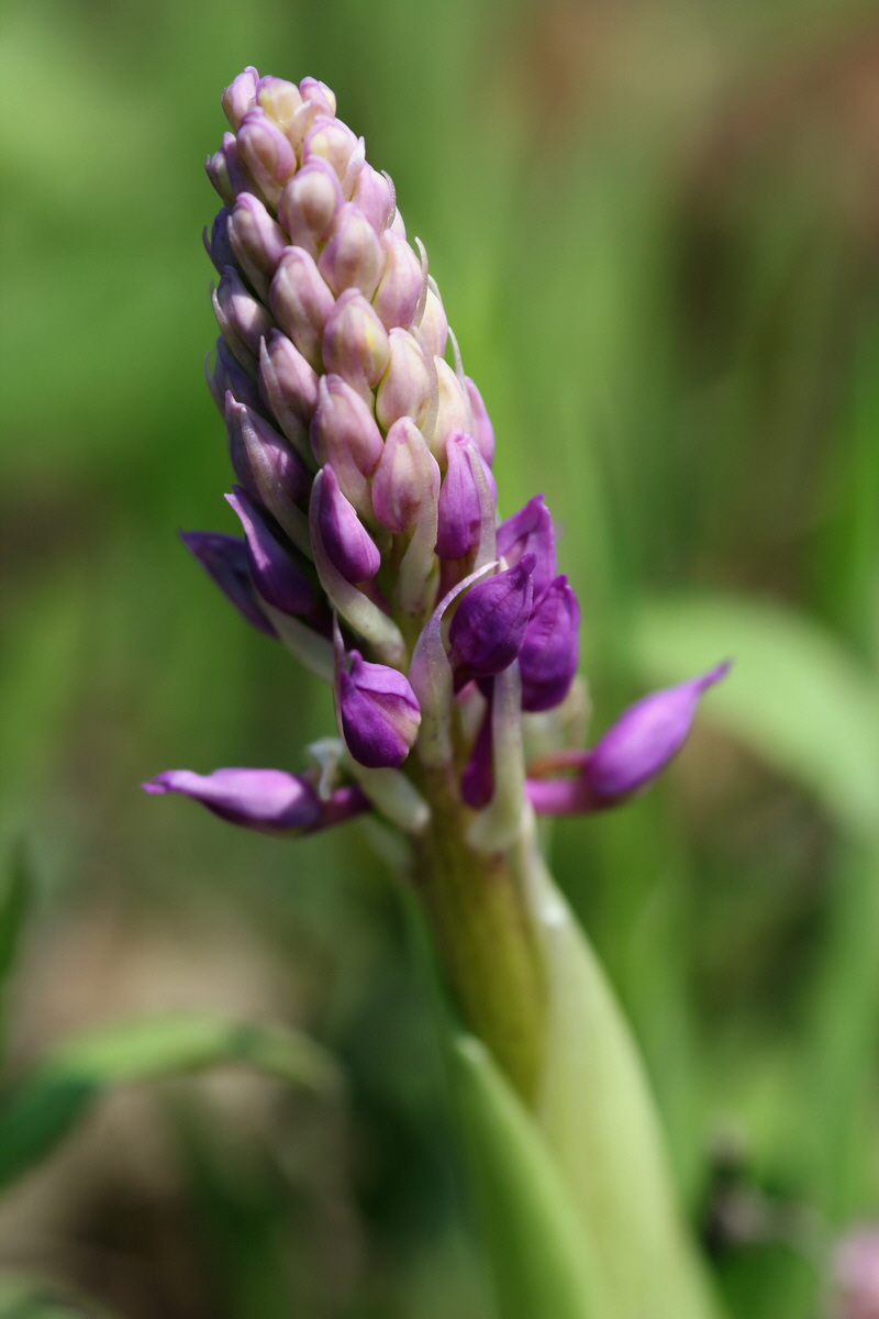 2013_05_05_00011270_Bildgr��e �ndern