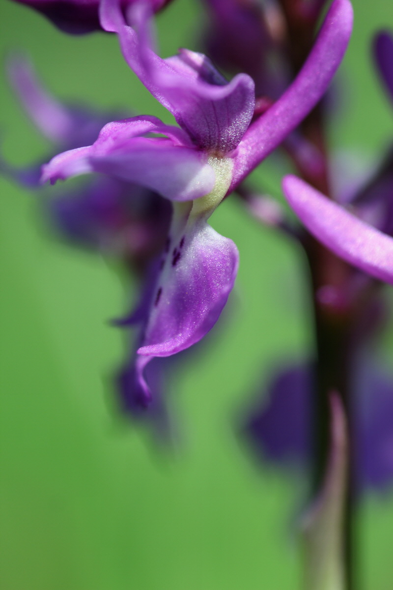 2013_05_05_00011280_Bildgr��e �ndern