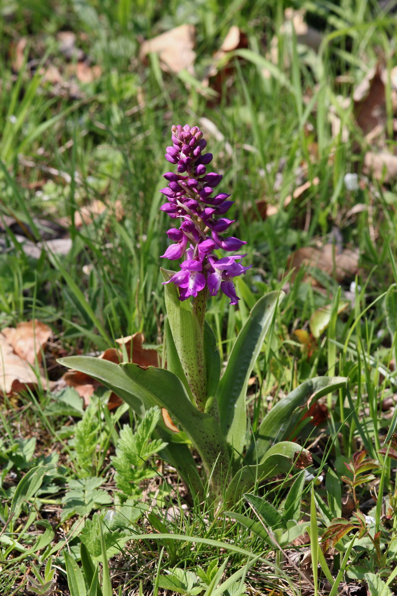 2013_05_05_00011307_Bildgr��e �ndern