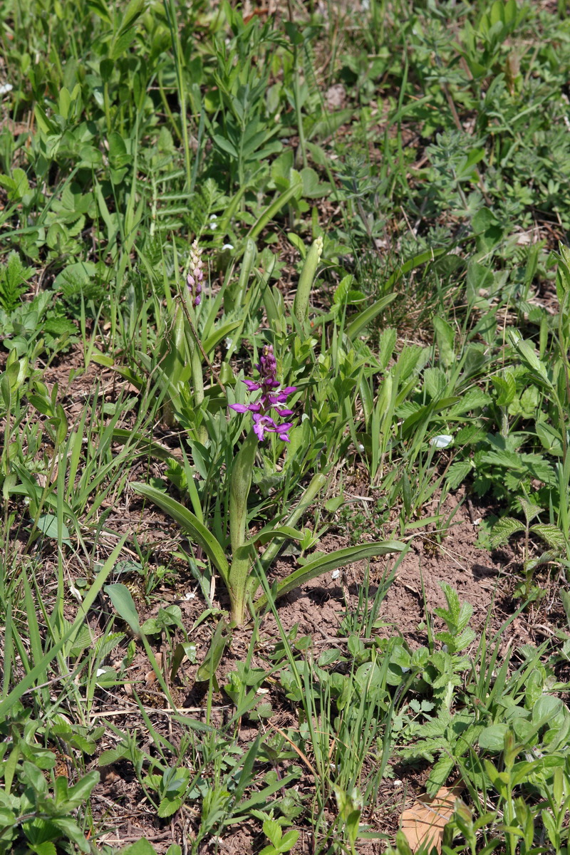 2013_05_05_00011309_Bildgr��e �ndern