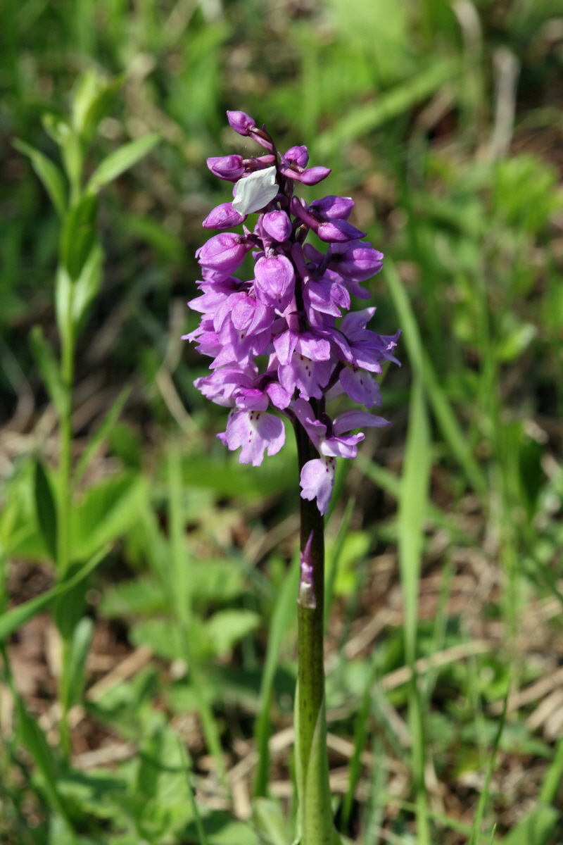 2013_05_05_00011318_Bildgr��e �ndern