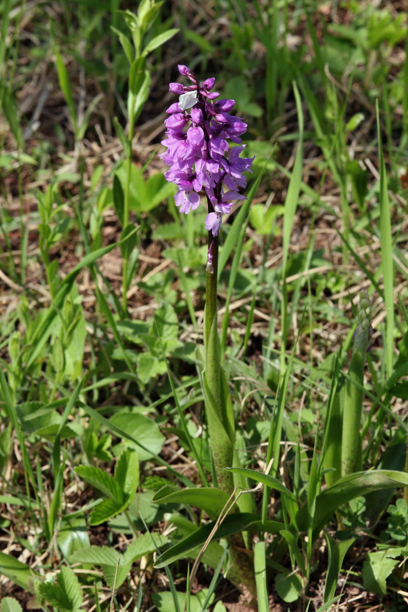 2013_05_05_00011324_Bildgr��e �ndern