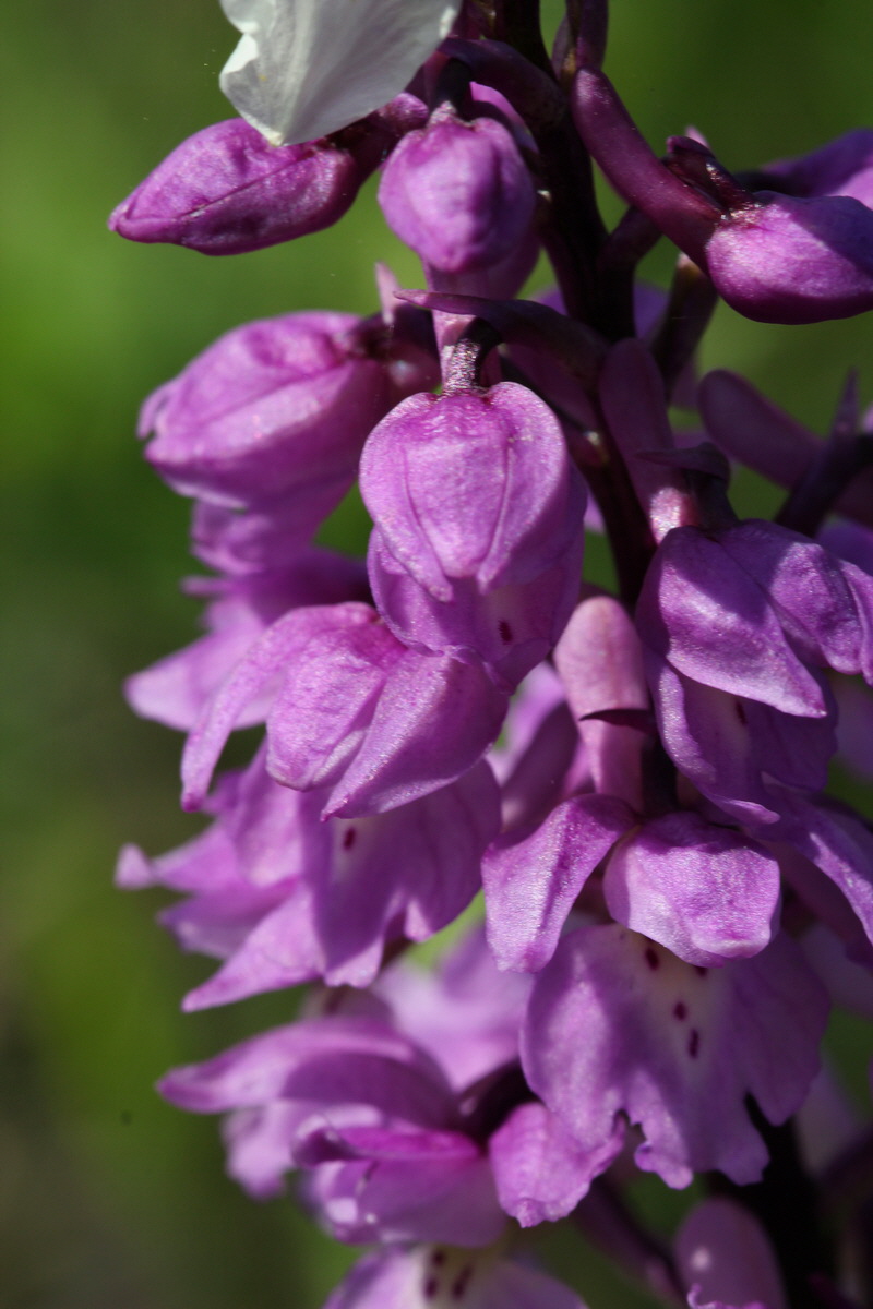 2013_05_05_00011326_Bildgr��e �ndern