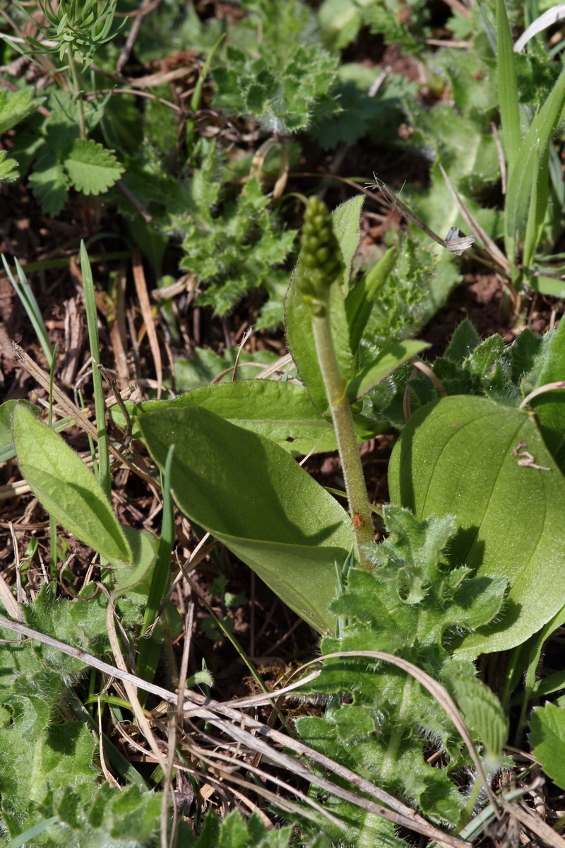 2013_05_05_00011336_Bildgr��e �ndern