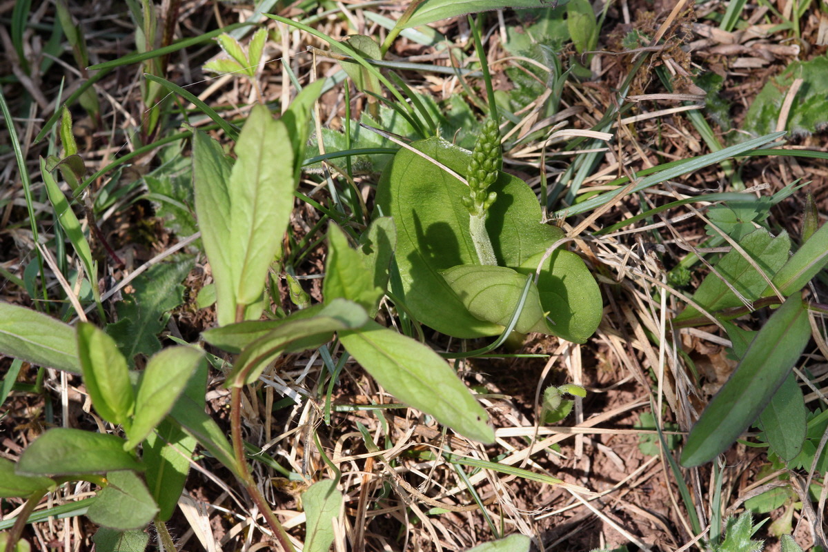 2013_05_05_00011341_Bildgr��e �ndern