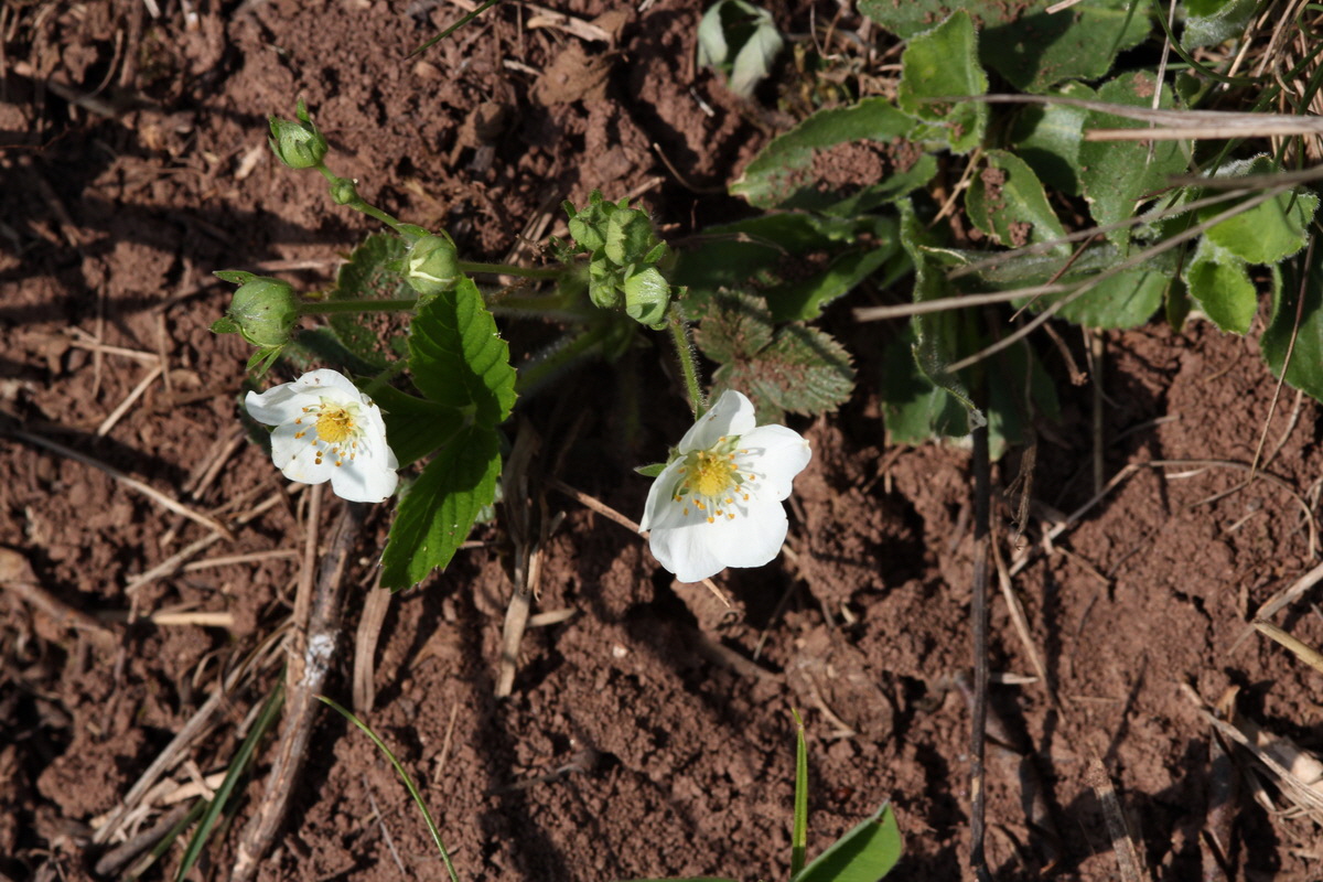 2013_05_05_00011351_Bildgr��e �ndern