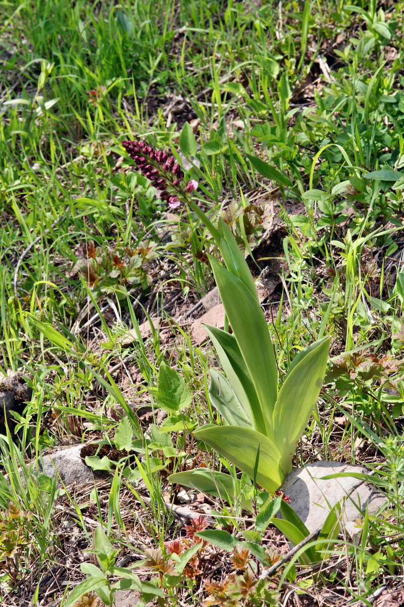 2013_05_05_00011362_Bildgr��e �ndern