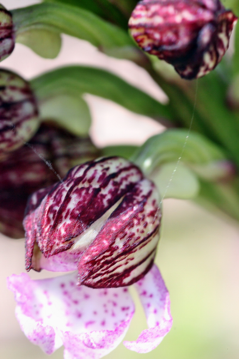 2013_05_05_00011378_Bildgr��e �ndern