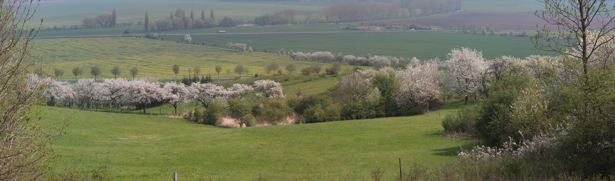 [Group 7]-2013_05_06_00011716_2013_05_06_00011723-8 images_Bildgr��e �ndern