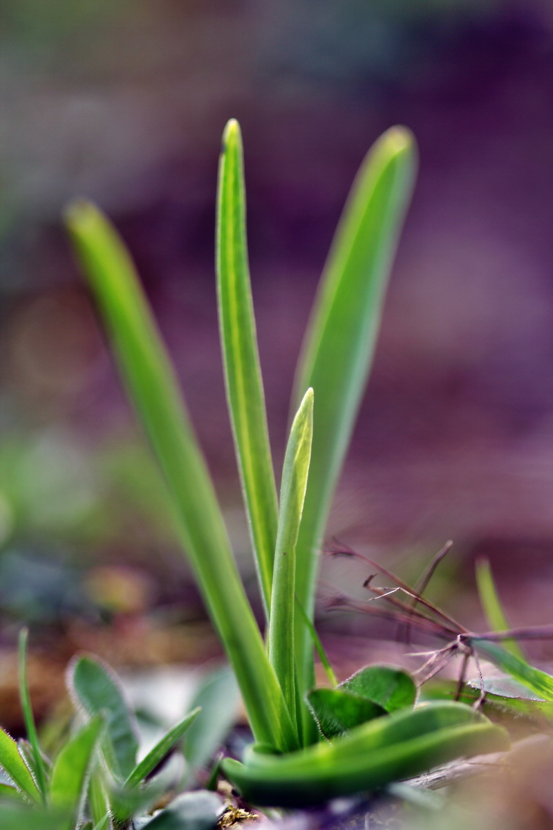 2013_05_06_00011397_Bildgr��e �ndern