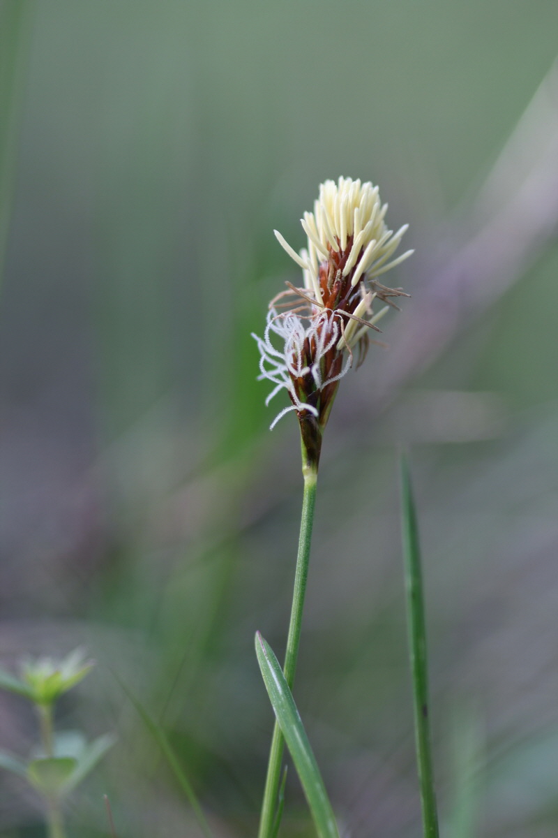 2013_05_06_00011399_Bildgr��e �ndern