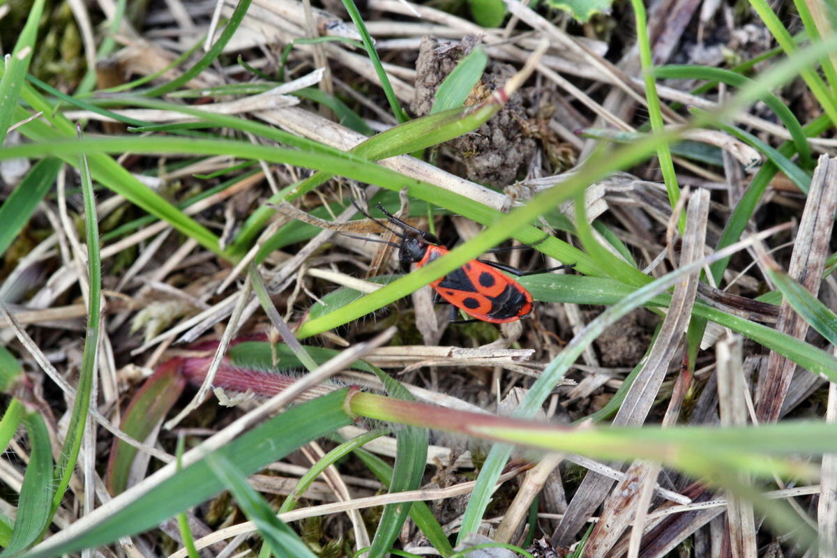 2013_05_06_00011418_Bildgr��e �ndern