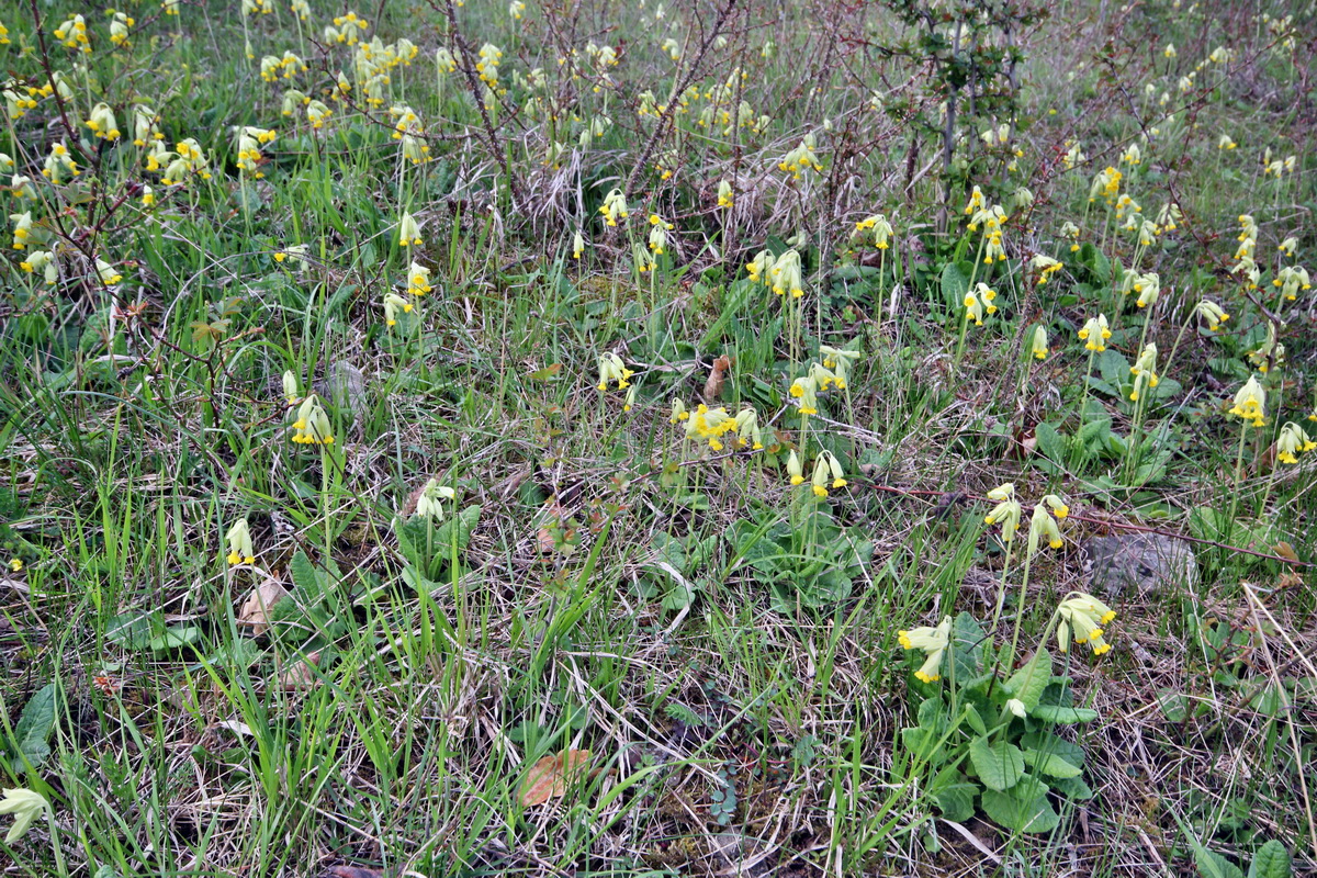 2013_05_06_00011492_Bildgr��e �ndern