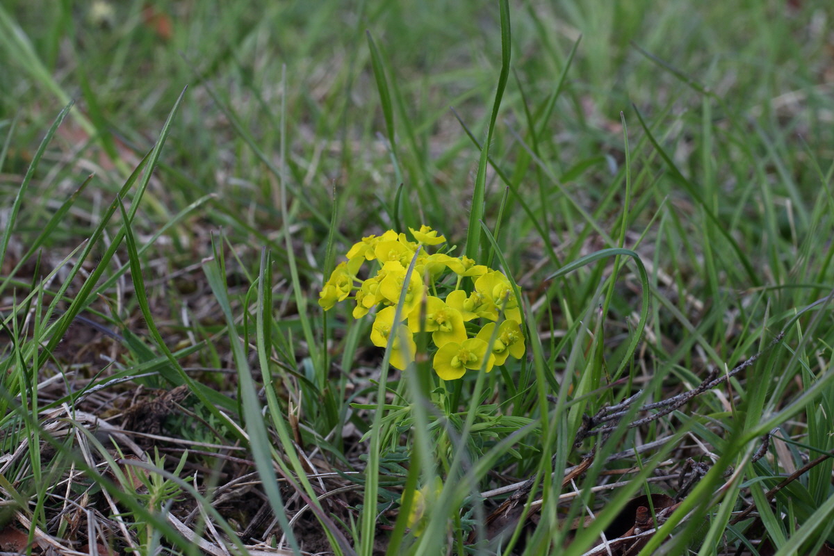 2013_05_06_00011503_Bildgr��e �ndern