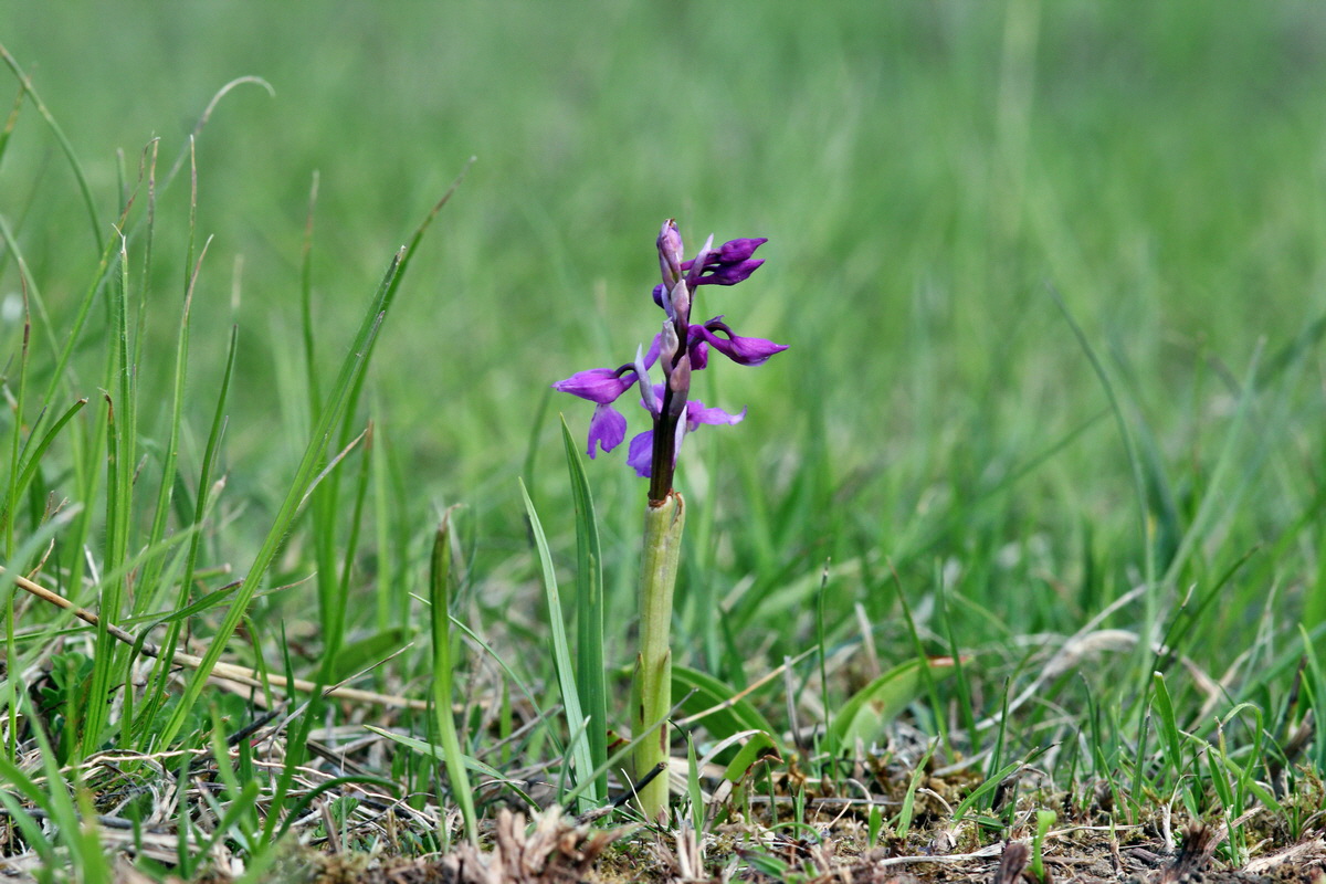 2013_05_06_00011614_Bildgr��e �ndern