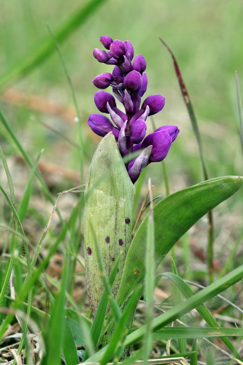 2013_05_06_00011621_Bildgr��e �ndern