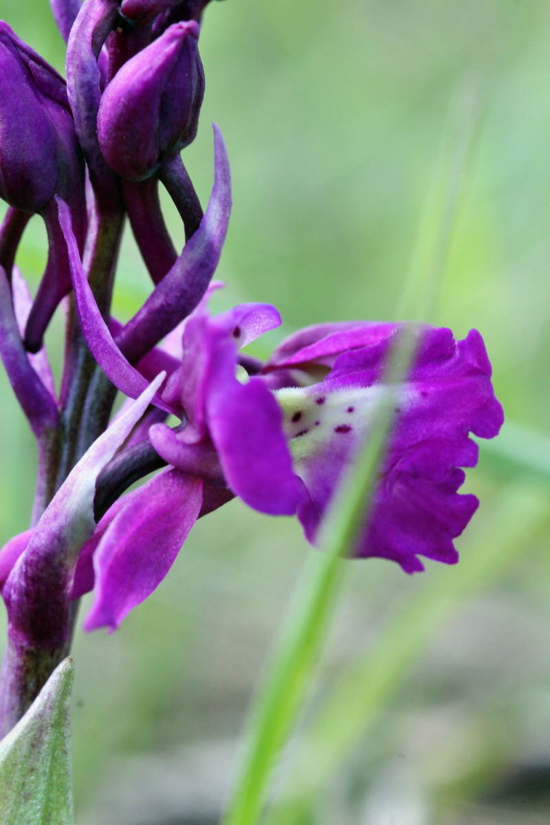 2013_05_06_00011627_Bildgr��e �ndern